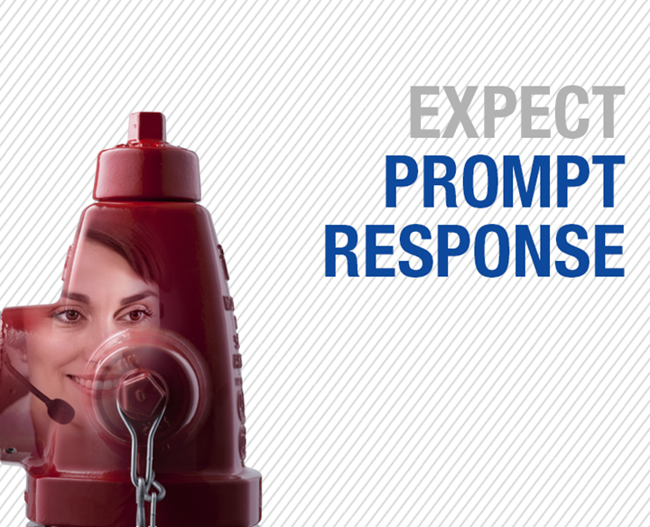 Expect prompt response in AVK