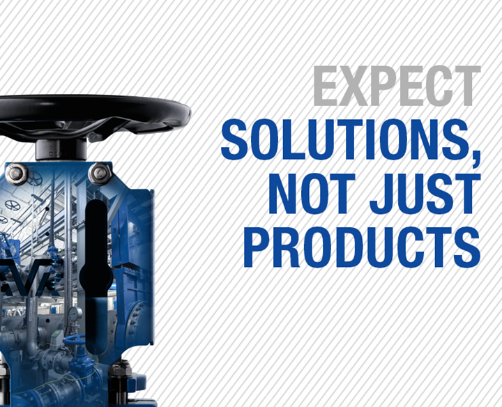 Expect solutions, not just products